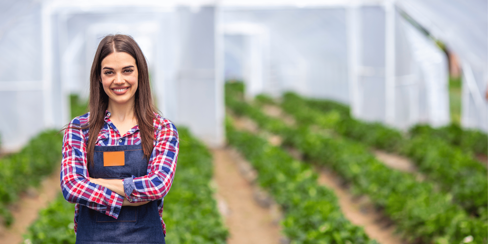 Untitled design (90)