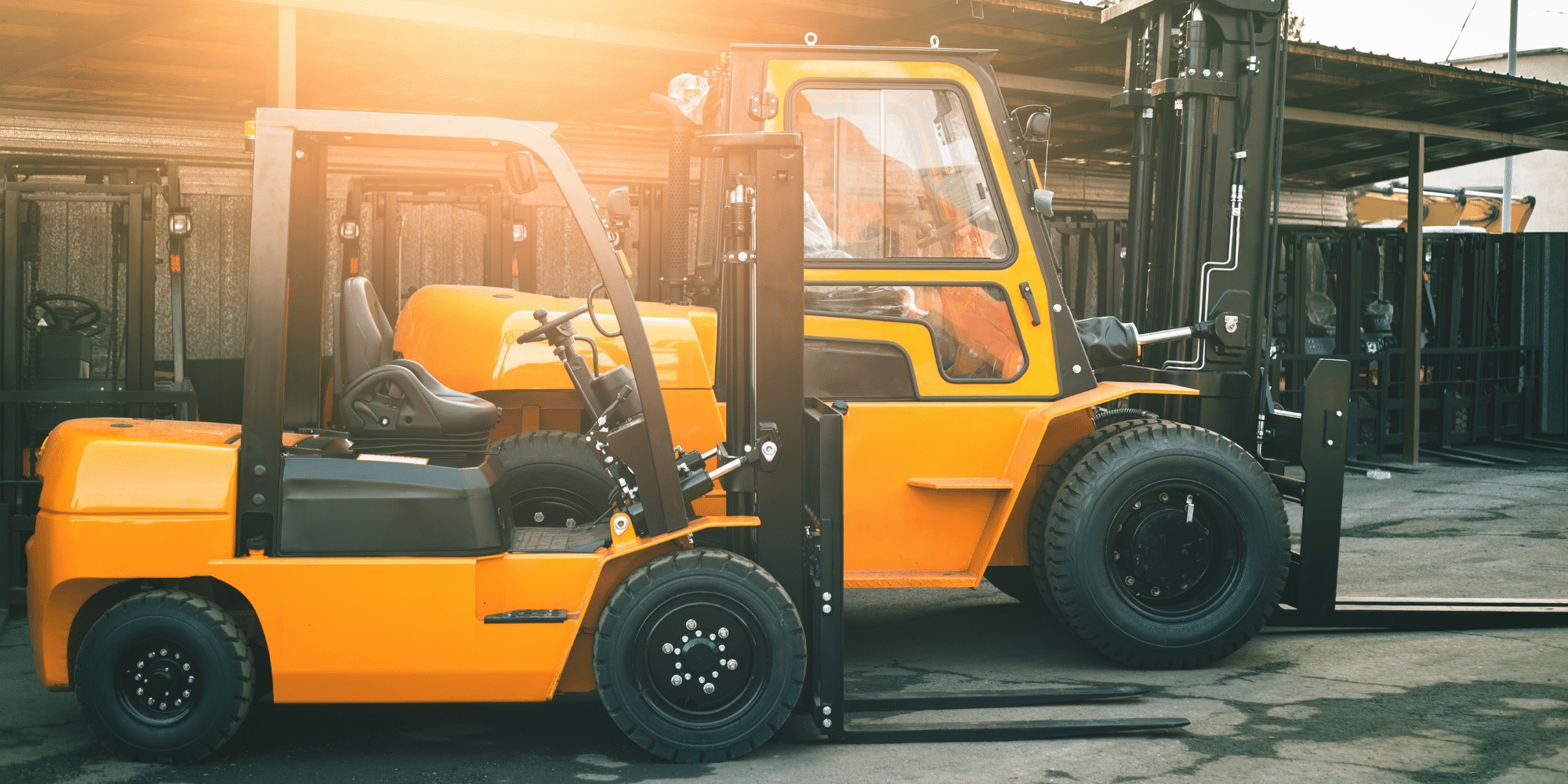 Untitled design (91)