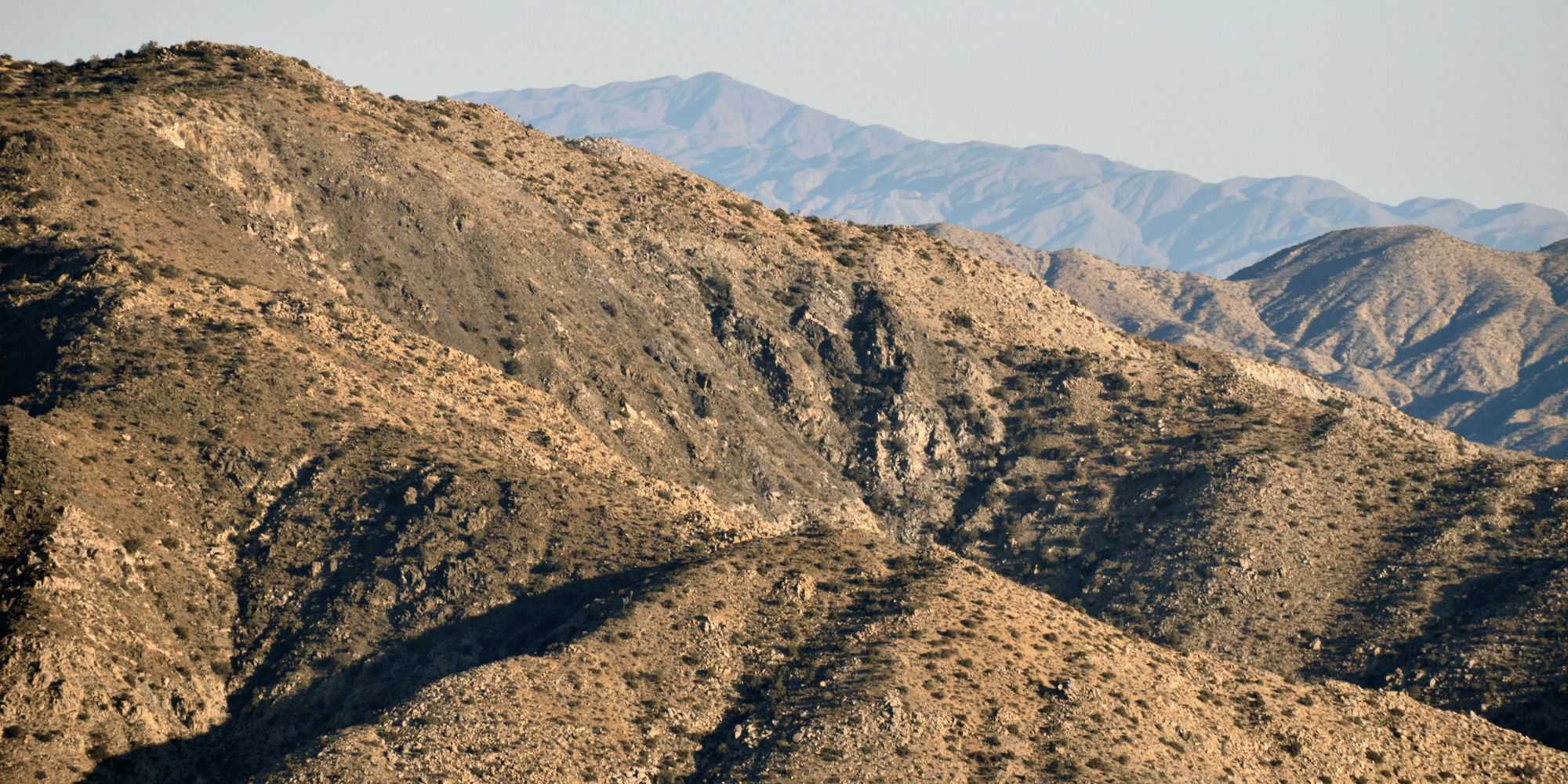 Untitled design 2024 11 27T182221.599