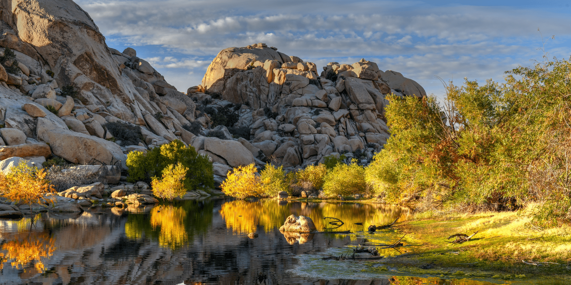 Untitled design – 2024-11-27T185739.190 Barker Dam