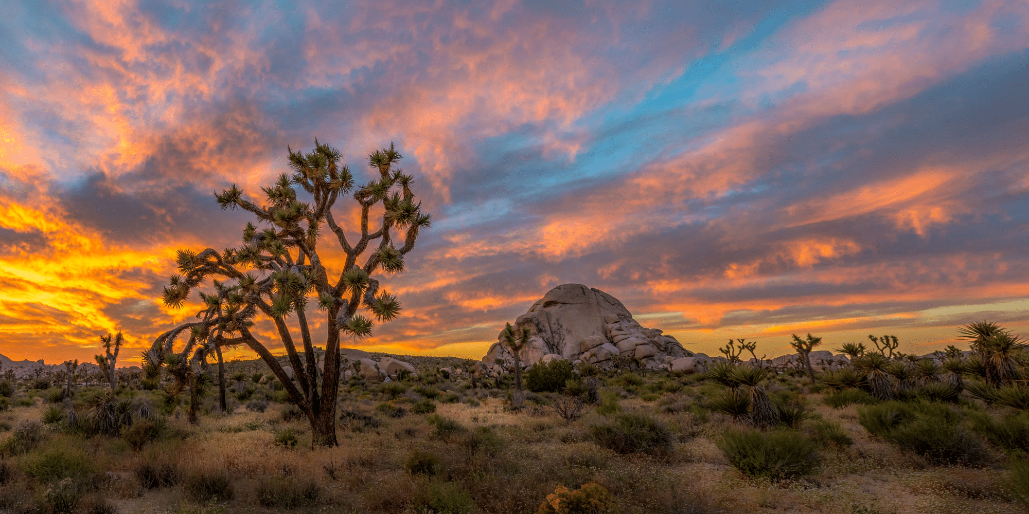 Untitled design 2024 11 27T191715.206